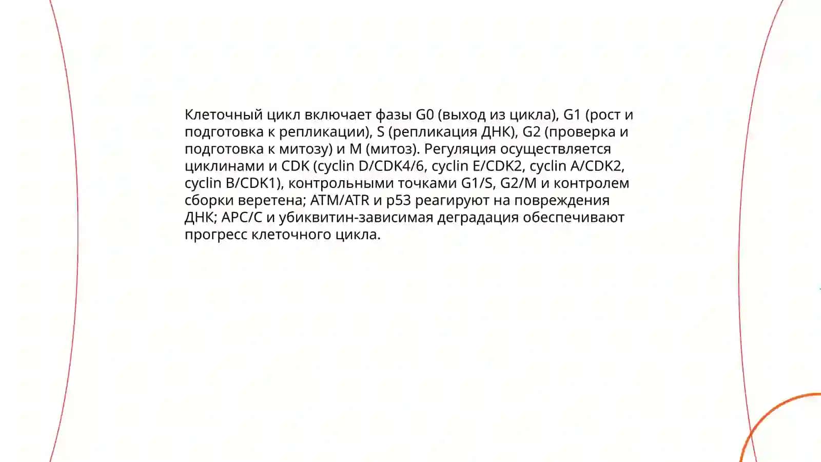 Hujayralarning mitotik bo’linishi va hayotiy sikli 4