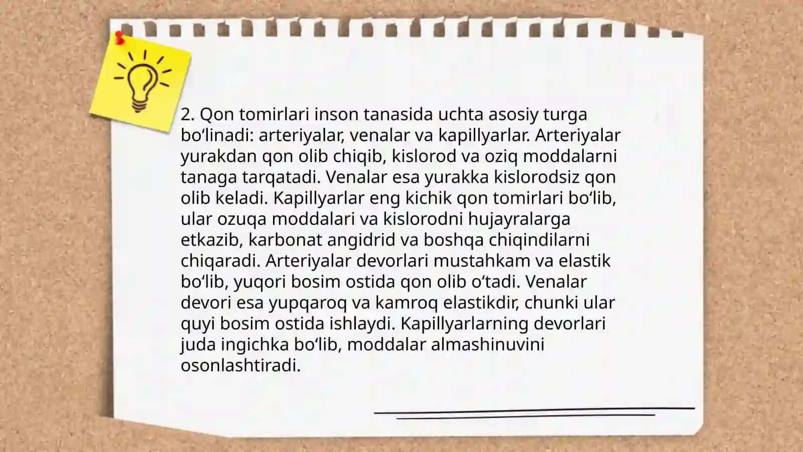 Qon aylanish tizimi 4