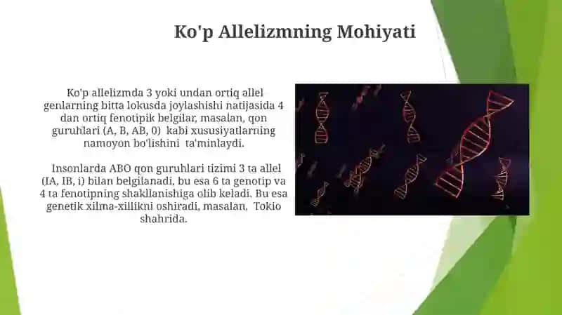 Monoduragay chatishtirish 4