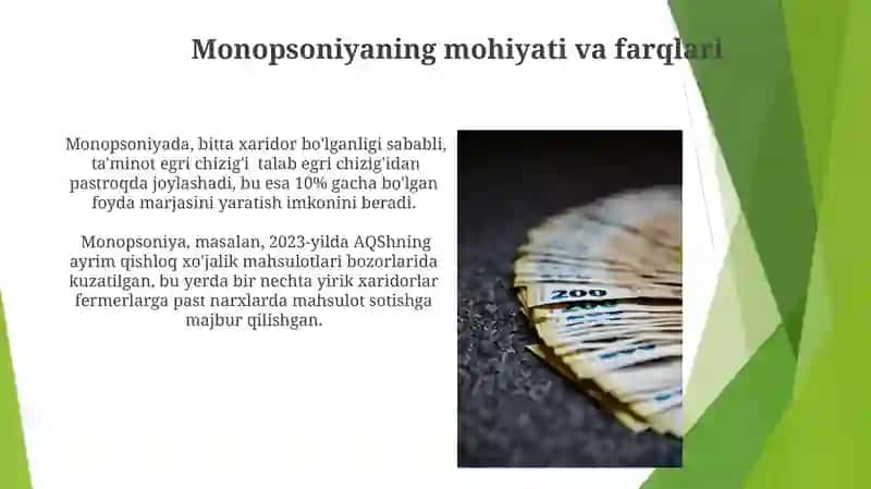 Monopoliya va monopsoniya 4