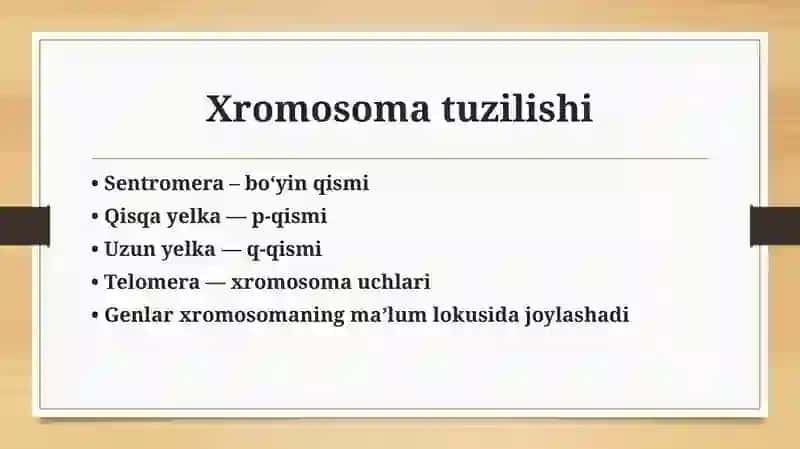 Odam xromosomasi, genom va gen kasalliklari 4