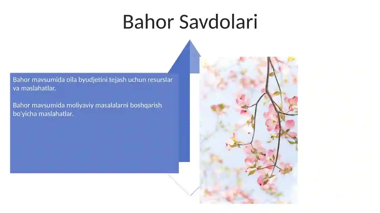 Asalari oilalarini bahor faslida parvarishlash 4