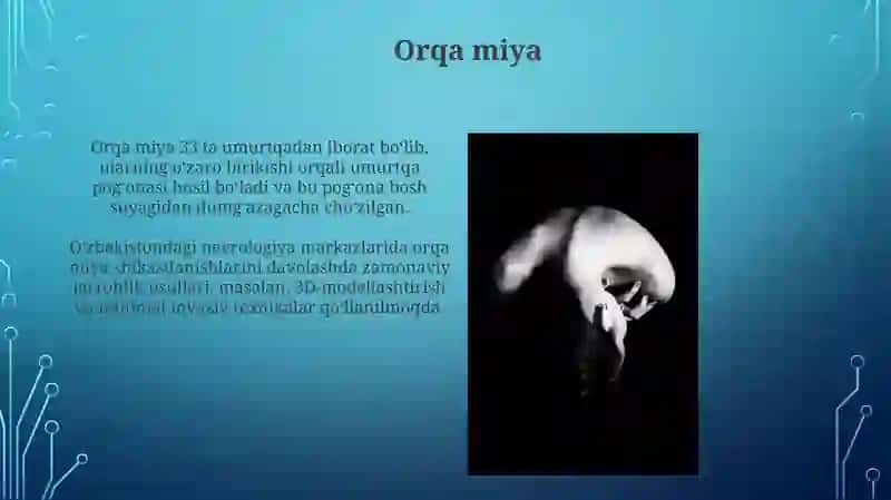 Lotin tili gaplarining strukturasi 4