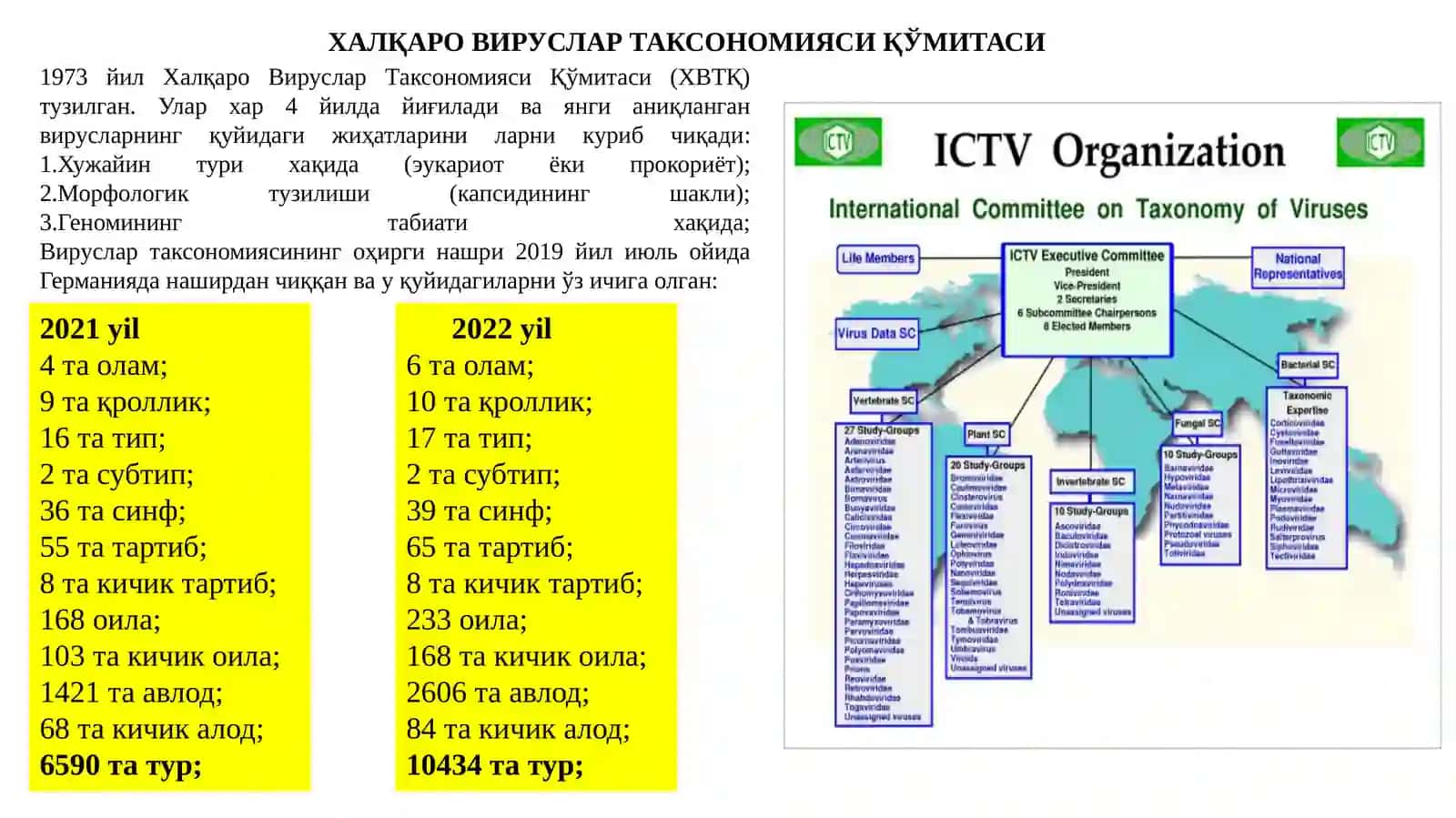 Вирусларни классификацияси 4