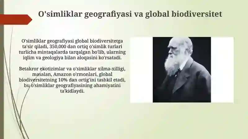 O'simliklar Taksonomiyasi 4