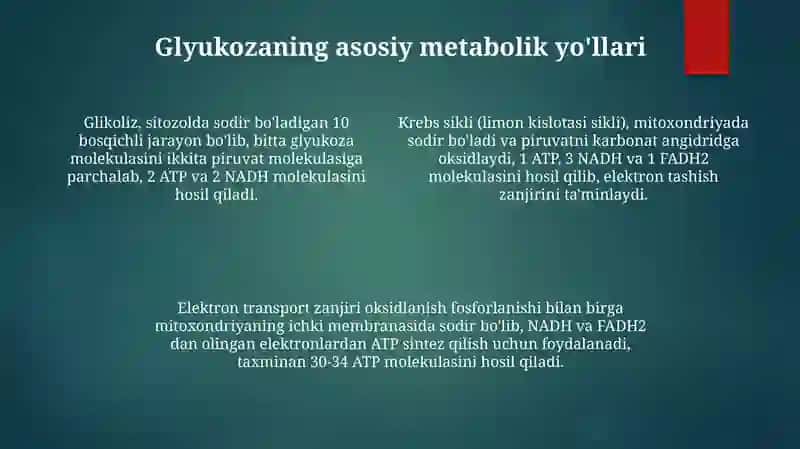 Glukoza metobalizmi va uning ahamiyati 4