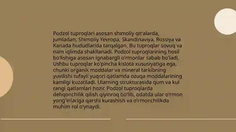 Podzol tuproqlar xaqida 4