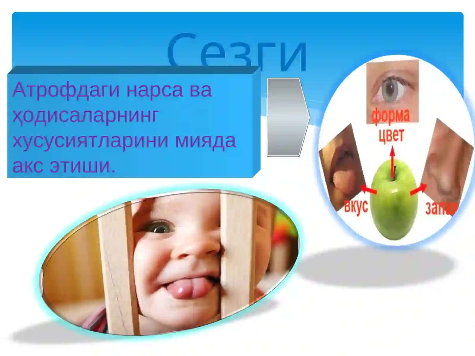 Шахснинг психик билиш жараёнлари 4