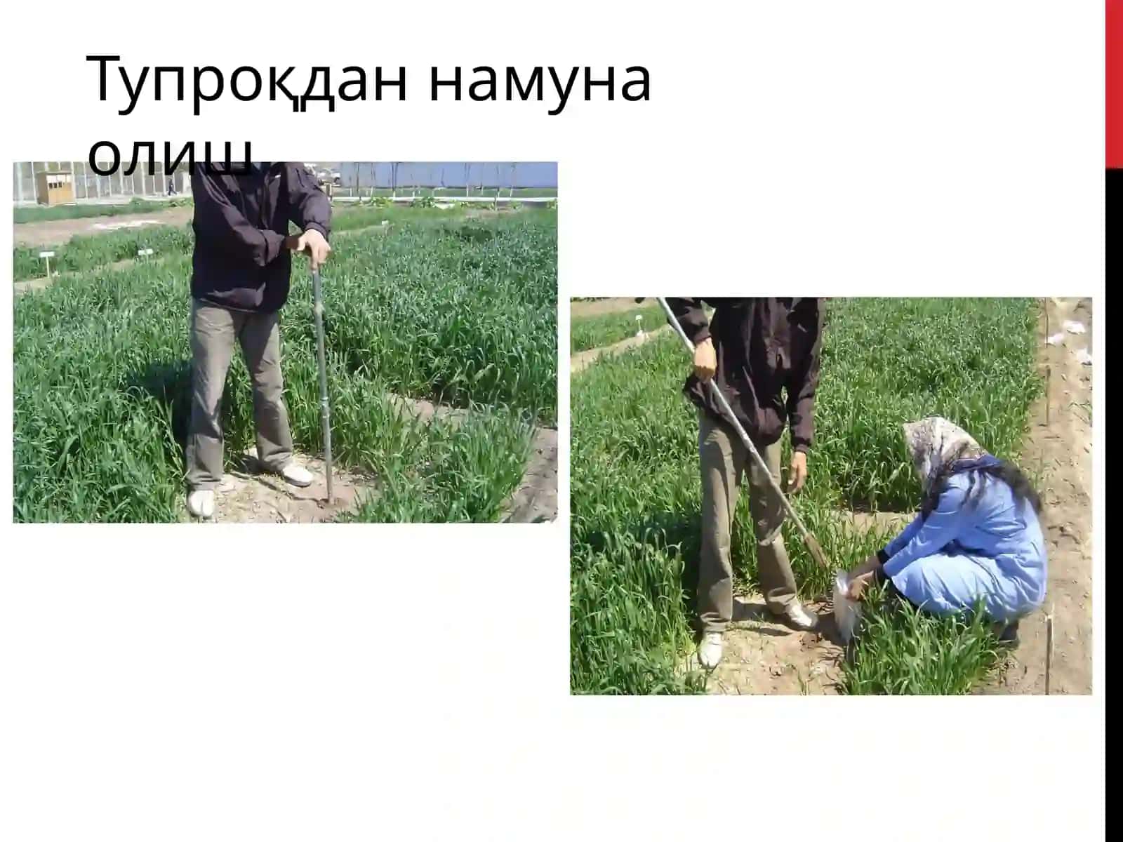 Тупроқни анализга тайёрлаш 4