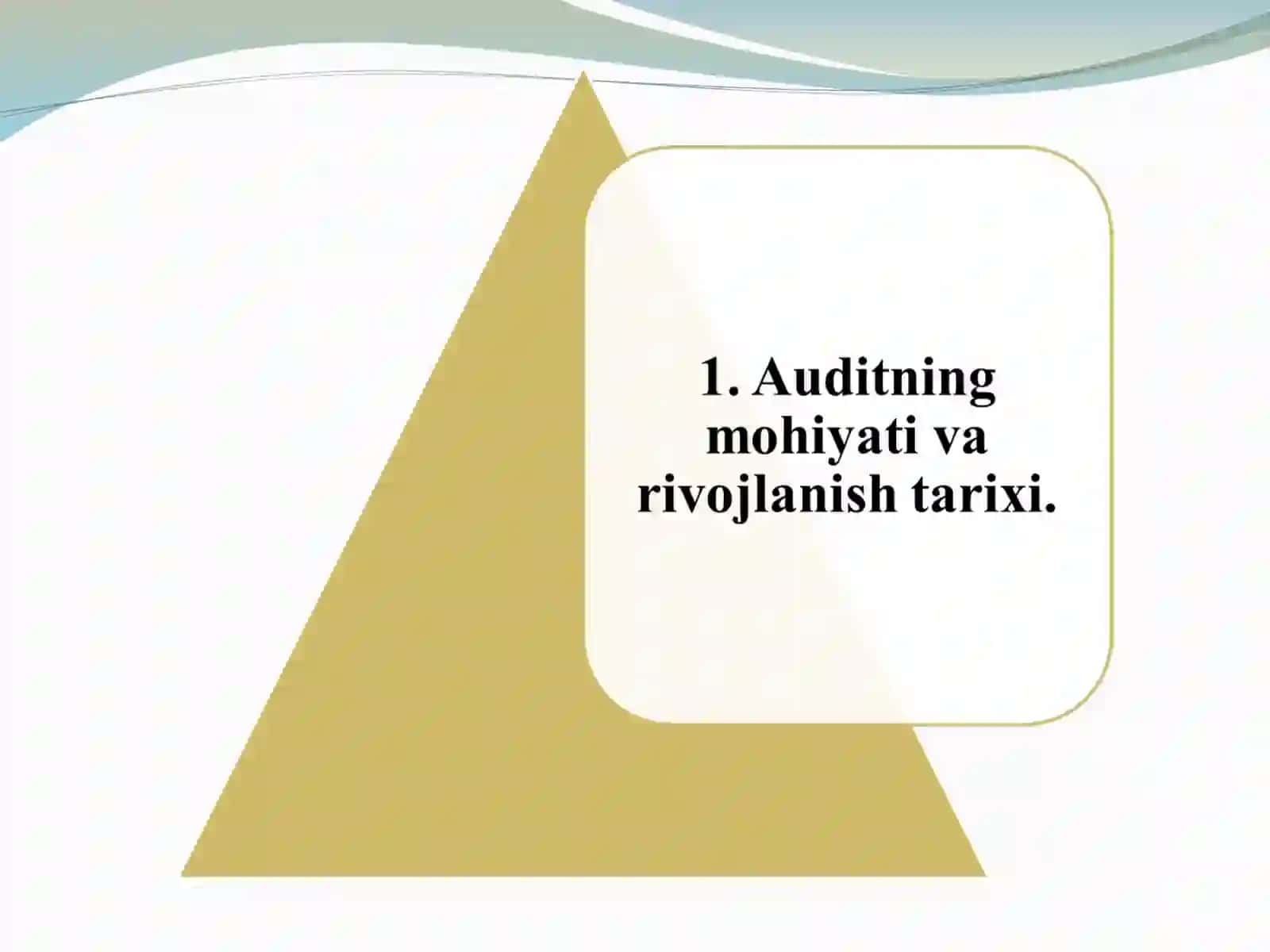 AUDITNING MOHIYATI, UNING MAQSADI VA VAZIFALARI 4