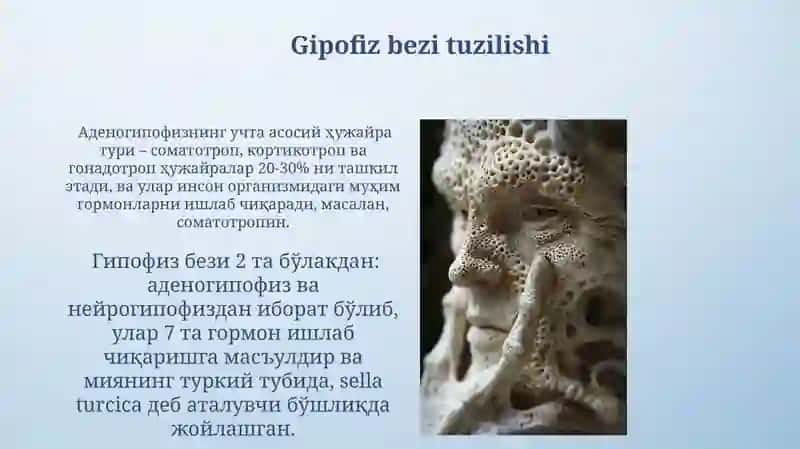 Ichki sekretsiya bezlarining tuzilishi 4