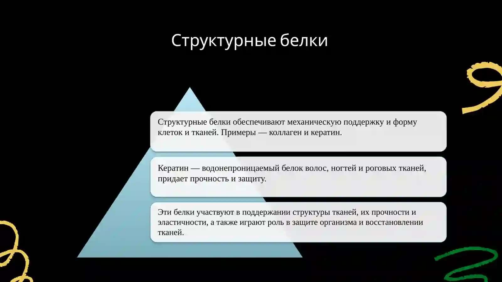 Классификация белков 4