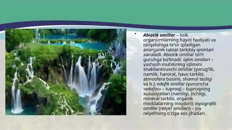 Muhit va ekologik omillar 4