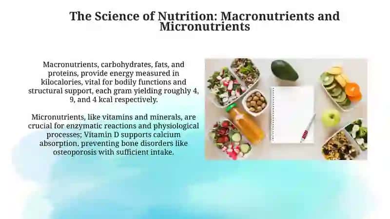Meals and diets 4
