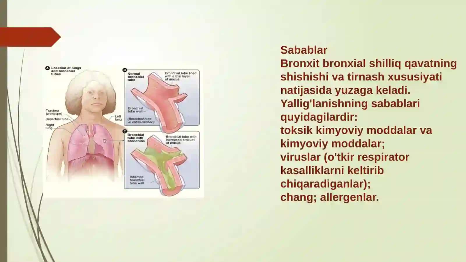 Ablaizova Hafiza 4