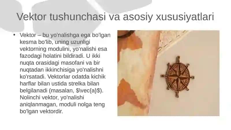 VEKTORLAR 4