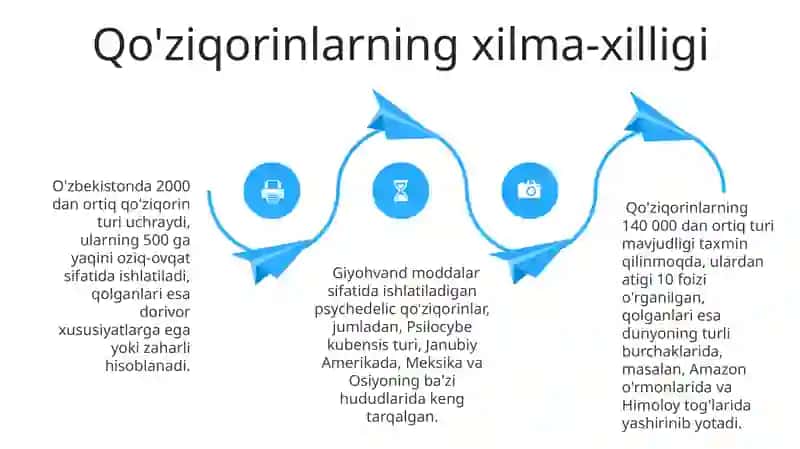 Qo'ziqorinlar 4