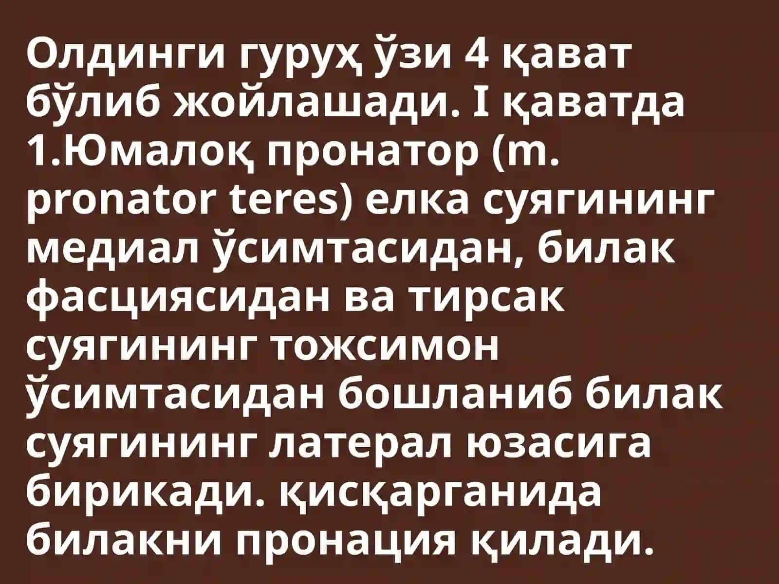 Билак мушаклари 4