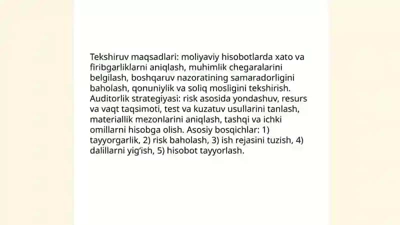 Auditorlik tekshiruvini rejalashtirish 4