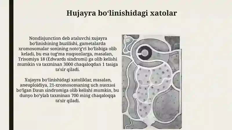 Mitroz va Meyozning taqqoslashi 4