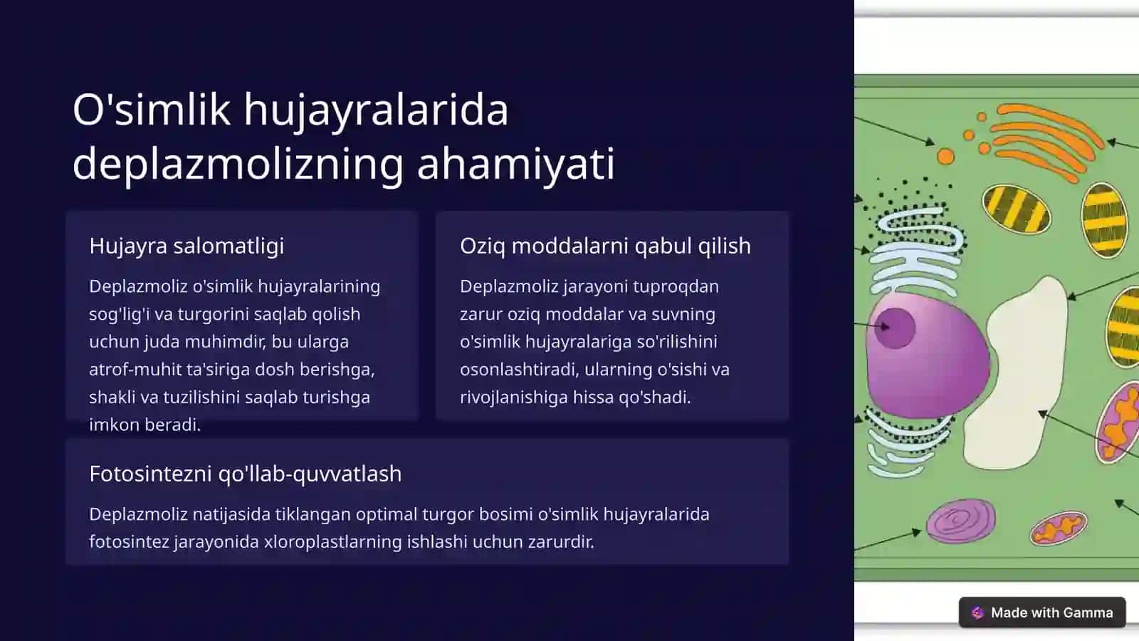 Deplazmoliz jarayoni 4