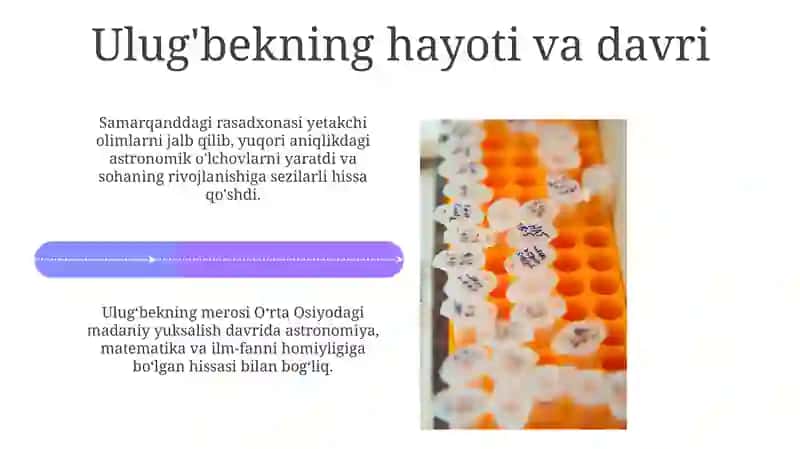Uluğbekning Hayoti va Davri 4