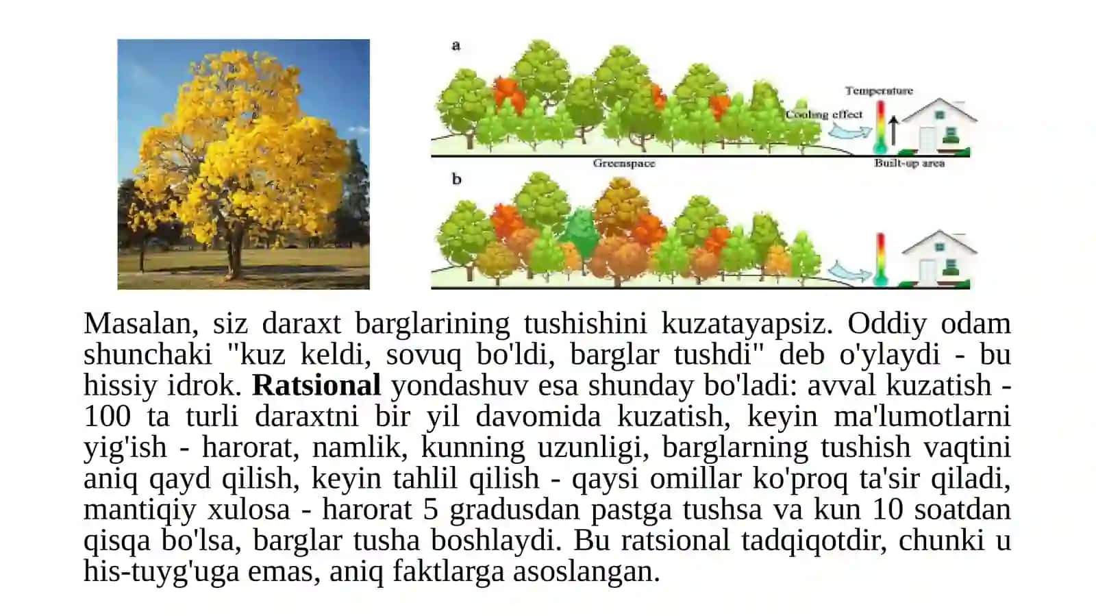 Illmiy tadqiqot metodologiyasi 4