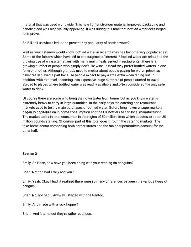Stolen Bag Report 4
