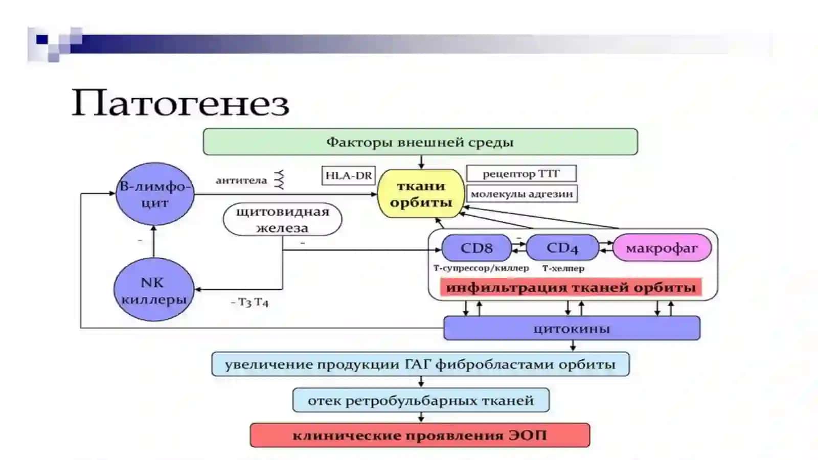 Endokrin oftalmopatiya diagnostikasi va davolash (1-variant) 4