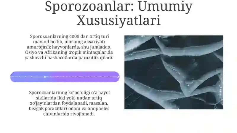 Giardia: Diagnostika va Profilaktika 4