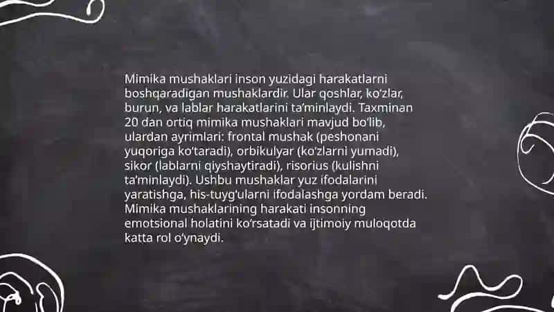 Kalla yuz boyin mushaklari 4