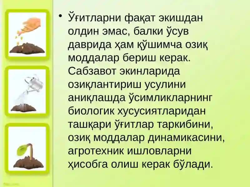 Сабзавот экинларини ўғитлаш 4