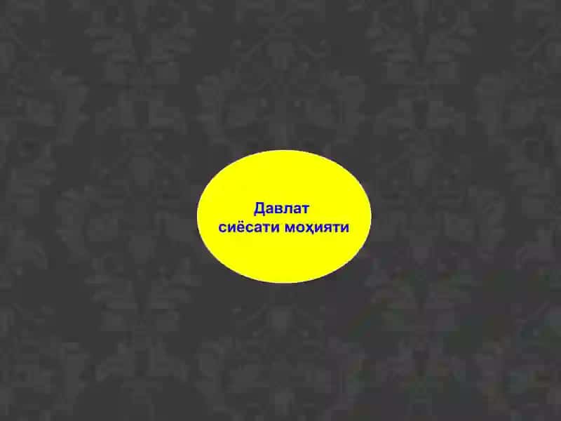 Ёшларга оид давлат сиёсати тўғрисида 4