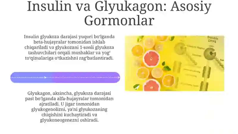 Absorbtiv va Postabsorbtiv Holatlarda Qon Glyukoza Darajasining O'zgarishi 4