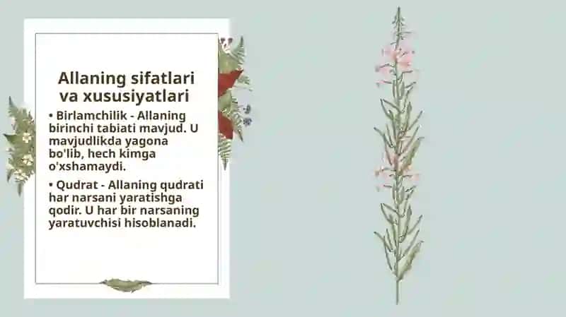 Alla 4