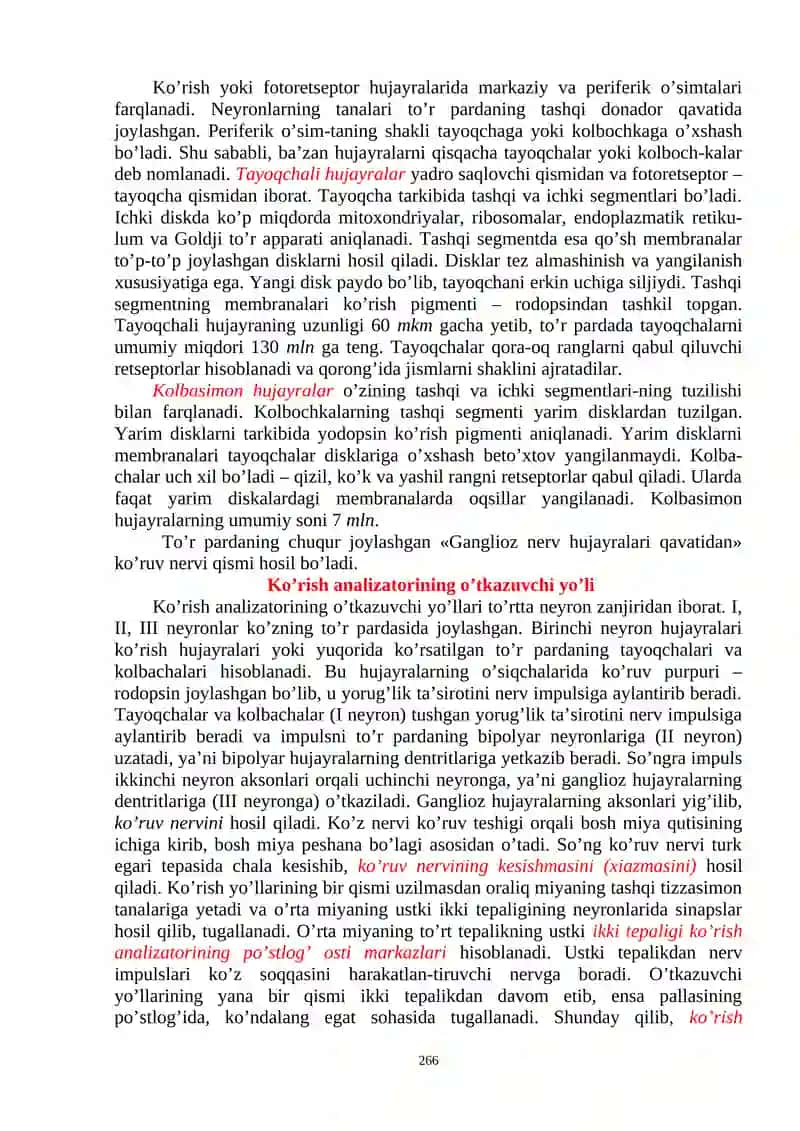 Sezgi a’zolari 4