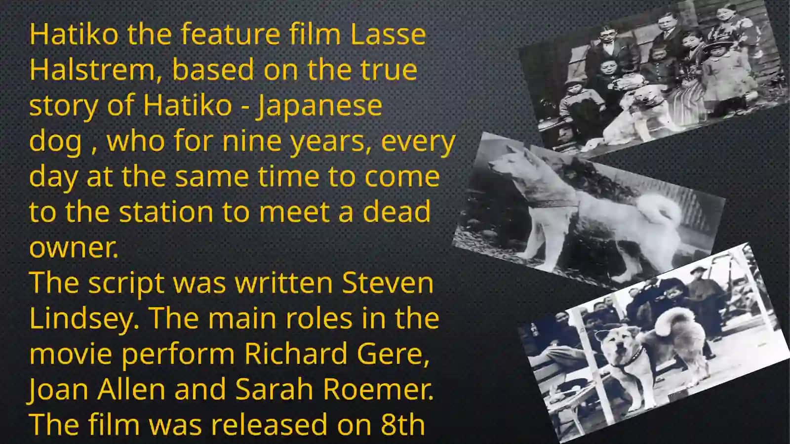 My favourite film Hachiko 4