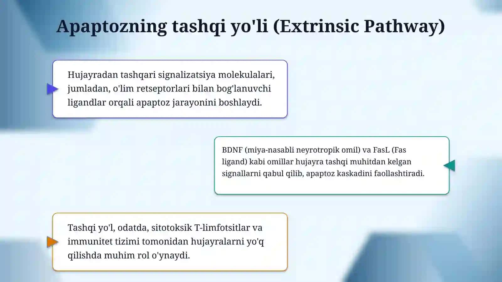 Hujayra apaptozi va uning biologik ahamiyati 4