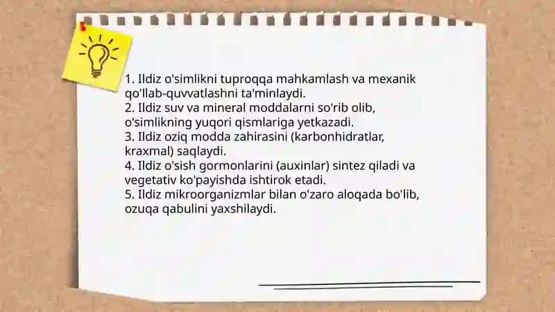 Ildiz 4