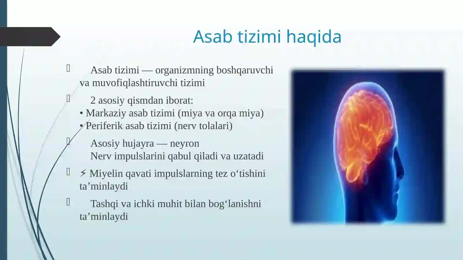 Demiyelinizatsiya 4