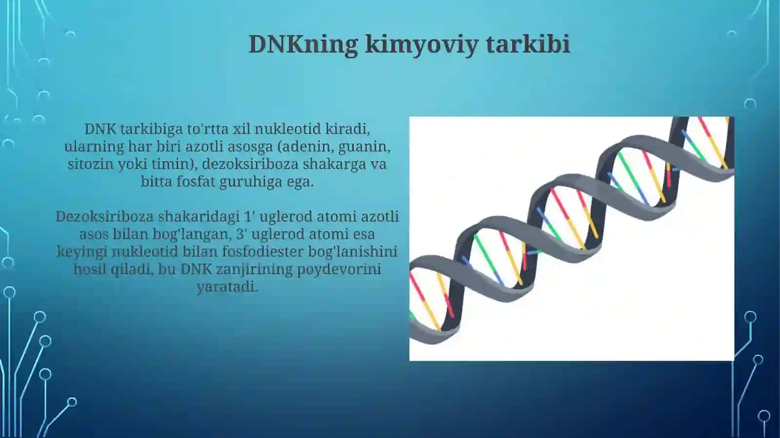 DNKning qoʻshzanjiri gatavsifi 4