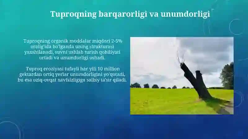 Landshaftlar barqarorligi 4