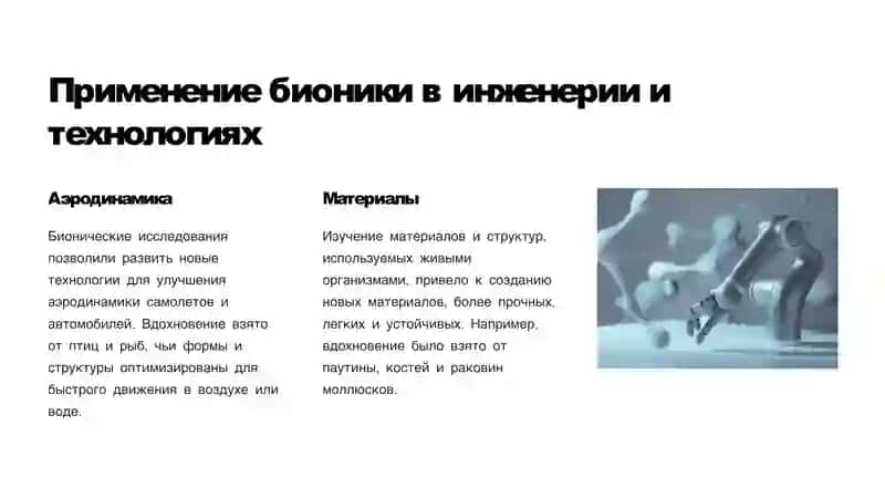 Основы бионики и эё место в жизни человека 4