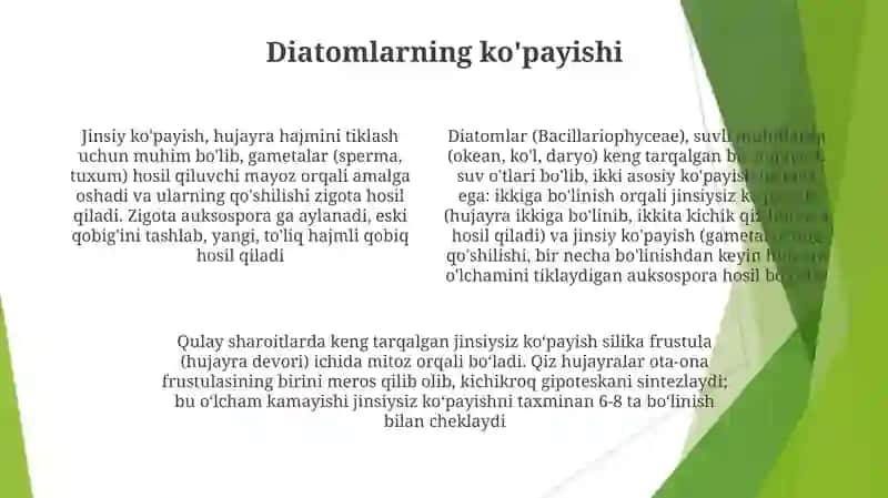 Diatomsuvoʻtlarbilantanishish 4