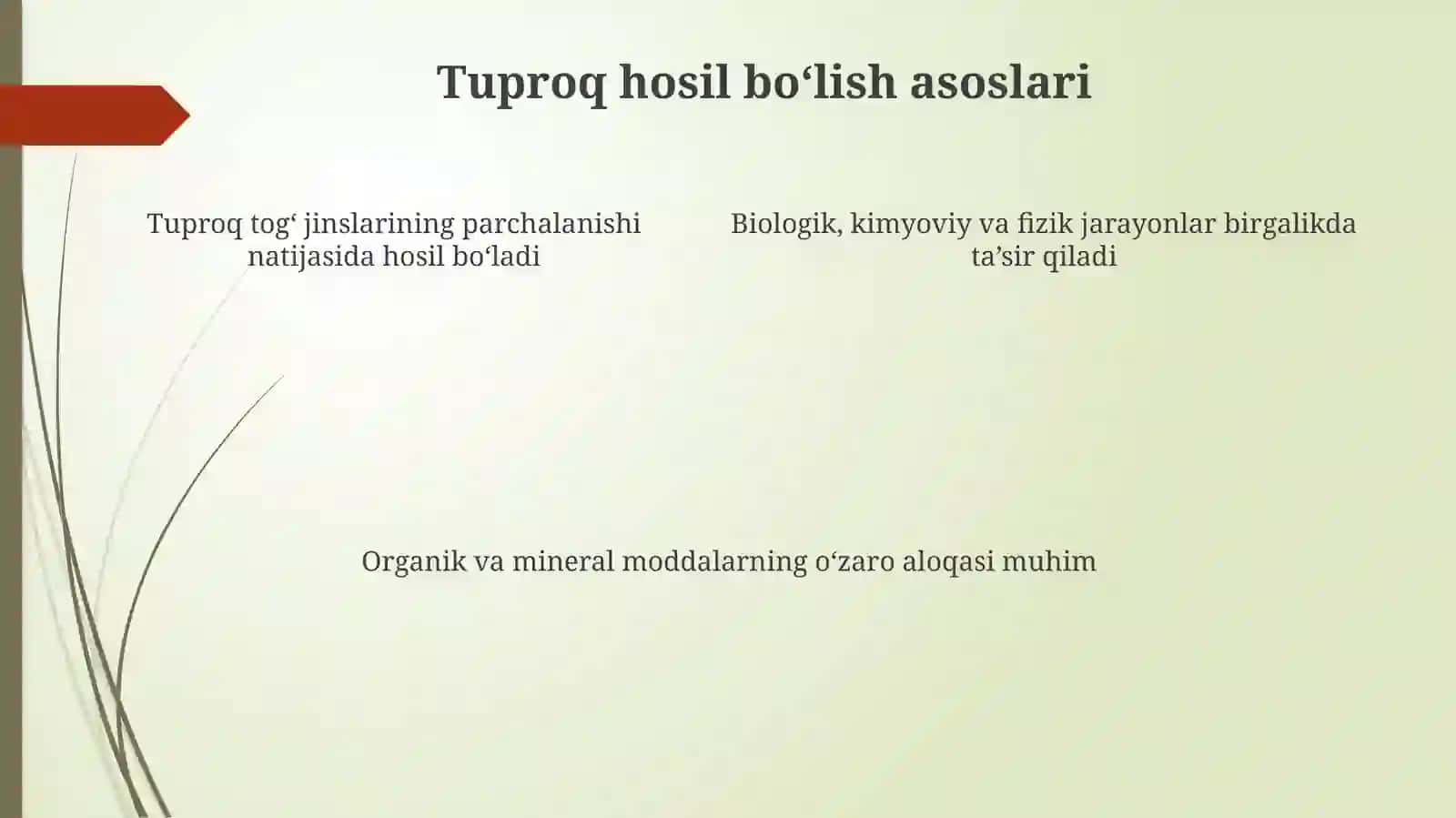 Tuproqpaydobo‘lishidamoddalarningyo‘qolishivato‘planishi 4