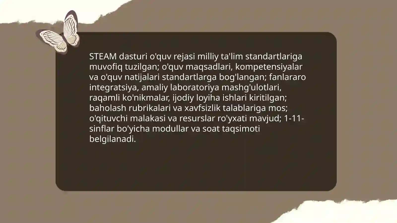 STEAM ta'lim faoliyati tavsifi 4