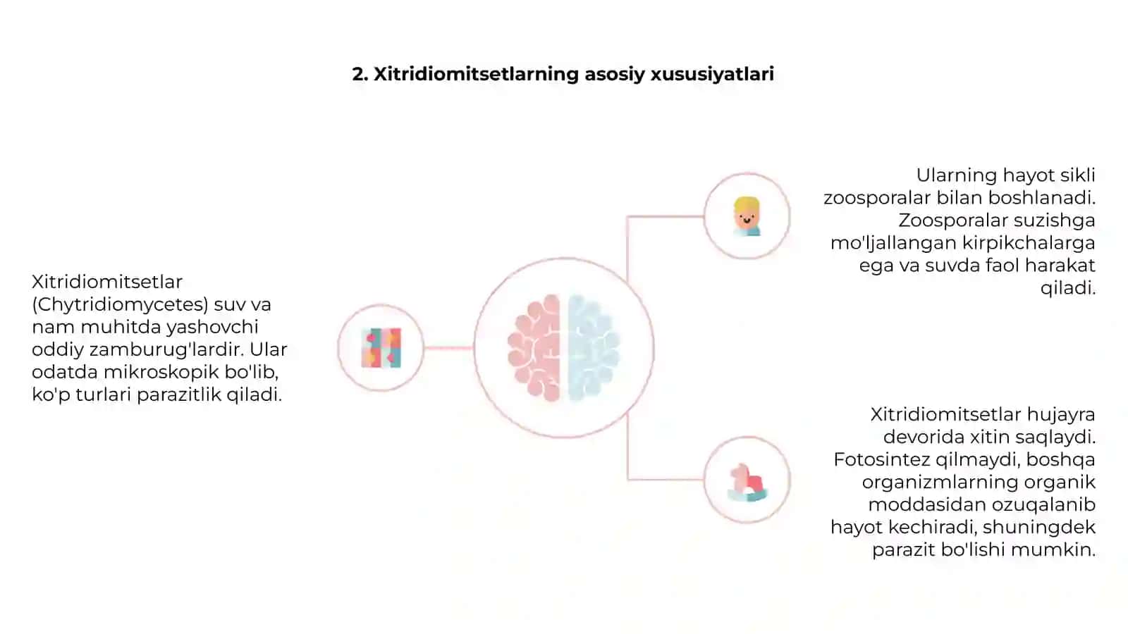 Xitridiomitsetlar- (Chytridiemycetes) sinfining umumiy tasnifi 4