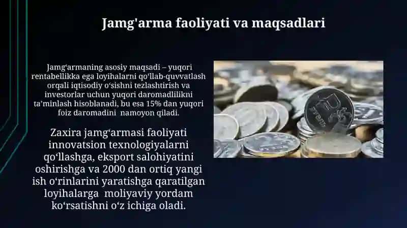 Zaxira jamg'armasi 4