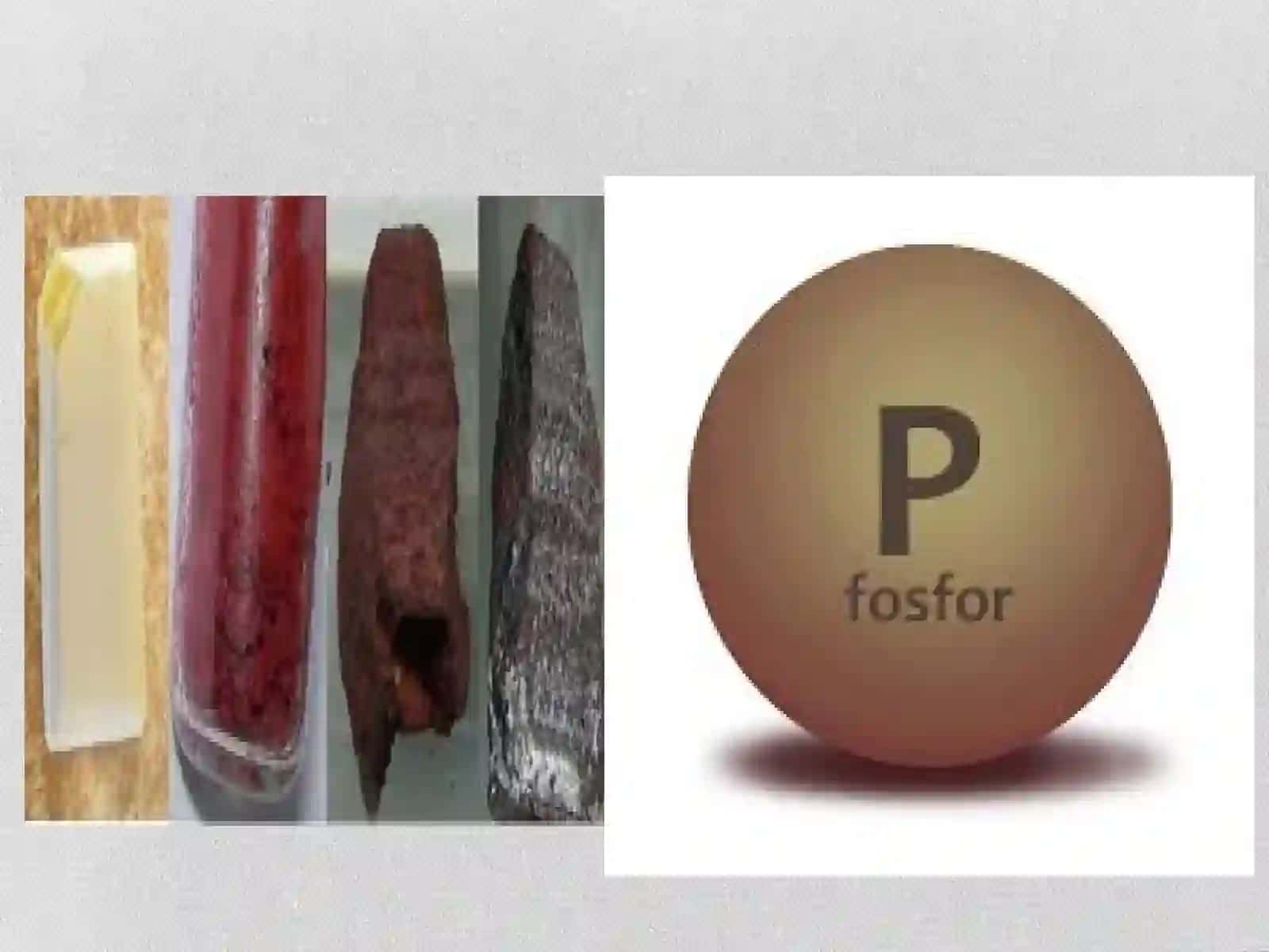 Fosforlimoddalar 4