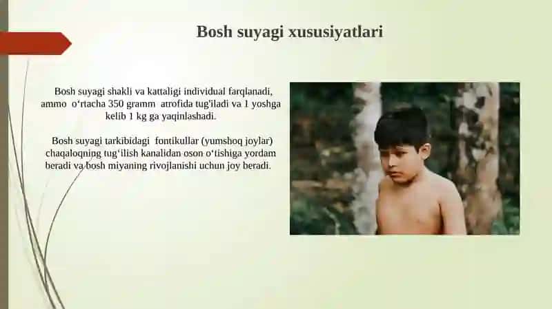 Bolalar gavda tuzilishining xususiyatlari 4